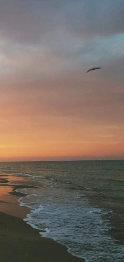 شقة Casamare Alba Adriatica Frontemare المظهر الخارجي الصورة